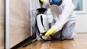 Best Real Estate Pest Inspections  in Eustis, FL